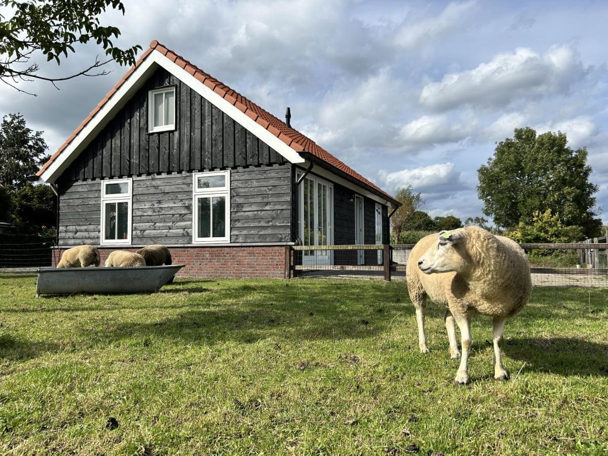 Geldersche Tuin 6 Persoons Villa Emst Buitenkant foto