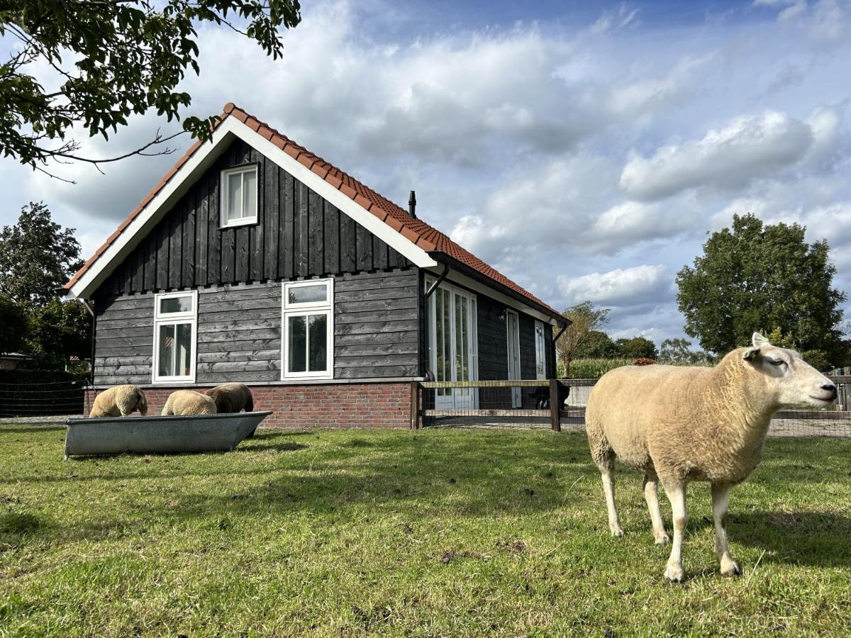 Geldersche Tuin 6 Persoons Villa Emst Buitenkant foto